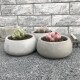 for succulent plaster concrete Molds molds pot flower