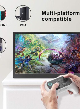 custom size interface tft lcd screen display 13.3 inch porta