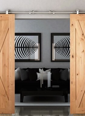 Diyhd 8ft-12ft Brushed Stainless Steel Double Sliding Barn W