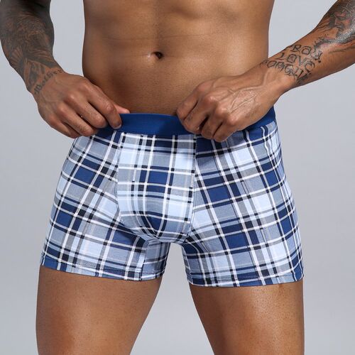 5pcs Boxershorts Men European Plus Size Men Boxers Mens Und