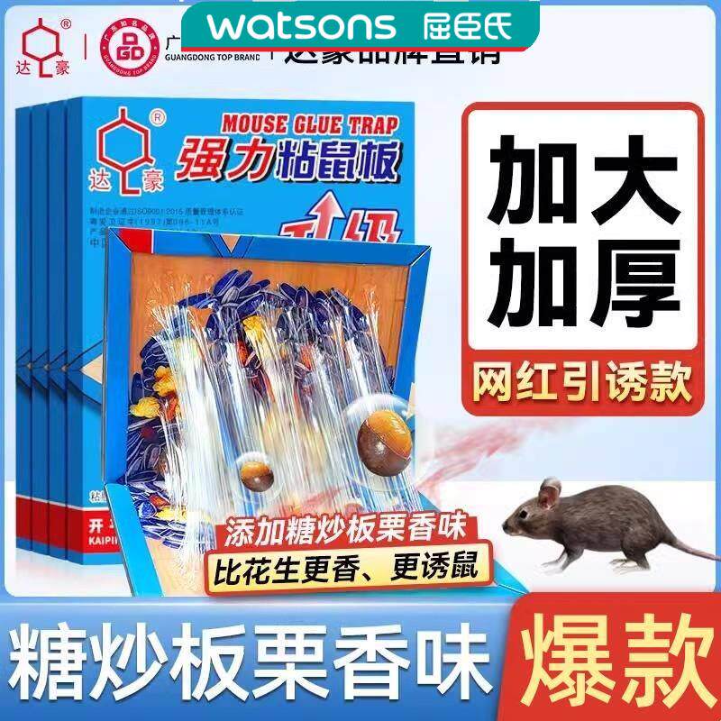 达豪双引诱强力粘鼠板小猫王加大加厚糖炒板栗香味老鼠贴灭鼠粘板