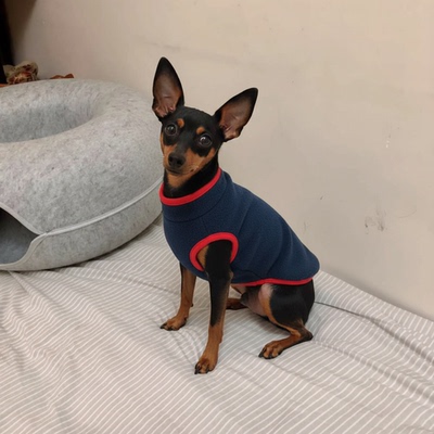 小鹿犬吉娃娃宠物狗狗专用小体型犬带牵引扣两脚衣服过冬天保暖用