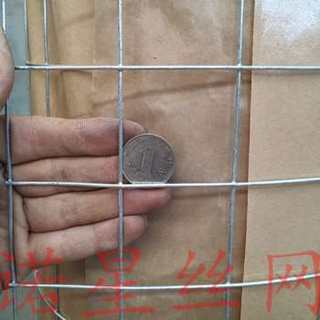 厂促T镀锌铁丝网围栏家用户外栅栏养殖防护网片热镀锌钢丝网养品