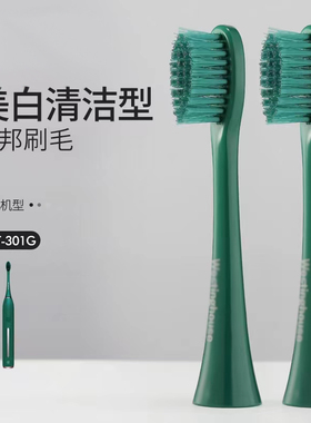 适配美国西屋WT-301G/301F/301K/301GF替换头成人杜邦刷毛5支装