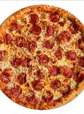 Soft warm Flannel Pizza blanket 200Gsm Round Shape Donut Ham