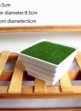 1Pc Multistyle Mini Flower Pots Square Round Planter Pot Tra