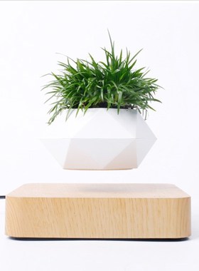 VIp Magnetic suspension flower pot Levitating Air Bonsai Pot
