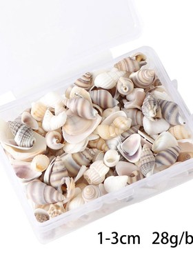 Mix Style Natural Shell 1-3cm 1 BOX Natural Conch Shells Min