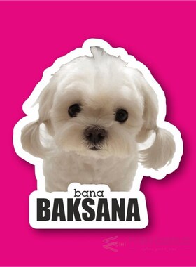 Me the Heigh Laptop and Phone Sticker-Decal max.8cm