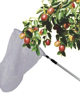 Extendable Butterfly Bee Insect Capture Net Aluminum Alloy P