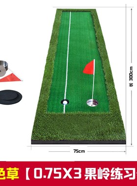 Portable 3m Indoor Golf Putting Green Swing Trainer Set Putt