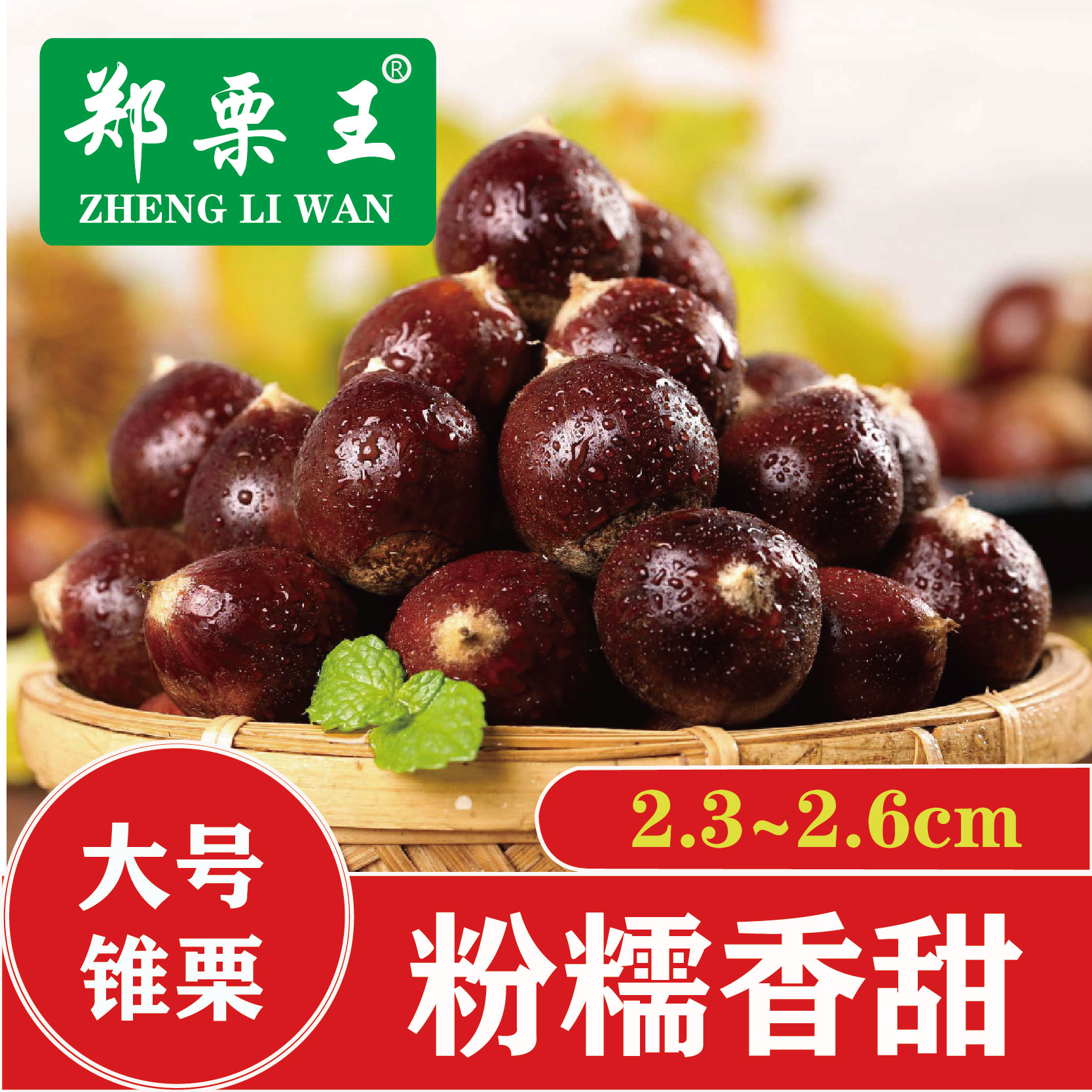 2025建瓯锥栗现摘现发比板栗更甜