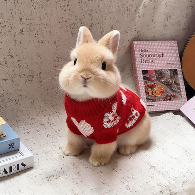 宠物兔子冬季衣服宠物红色毛衣新年喜庆保暖毛衣侏儒兔垂耳幼兔