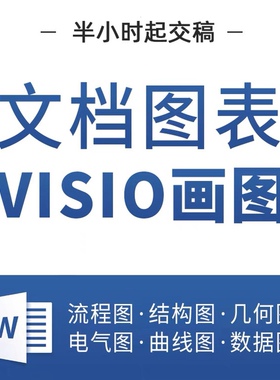 visio画图word流程图制作组织架构图代画做曲线电路图技术路线图