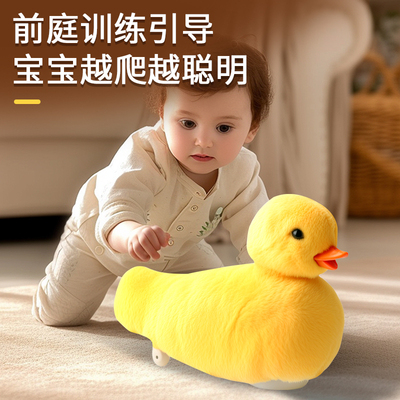 摇摆学爬鸭子男孩爬行引