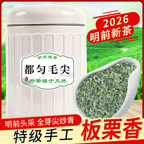 【明前头采手工炒茶叶】贵州正宗都匀毛尖绿茶特级全芽尖2026新茶
