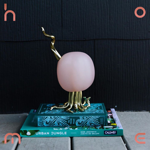 ho+me现货美國'黄铜拆信礼品