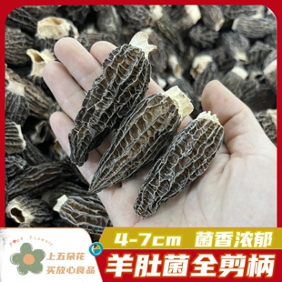 全剪柄羊肚菌大个4-7cm肉厚家人长辈送礼推荐今年新货