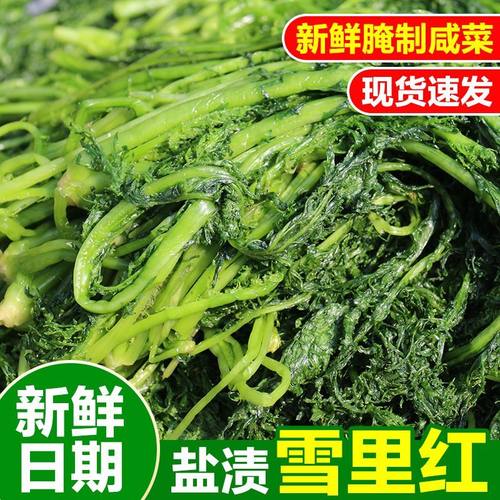 25年东北新鲜雪菜农家腌制新菜雪里蕻雪里红正宗咸菜饭菜脆嫩爽口
