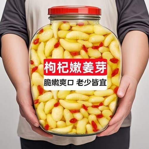【3大罐降价了】新鲜枸杞泡嫩鲜姜芽仔姜嫩姜芽生姜腌制即食下饭