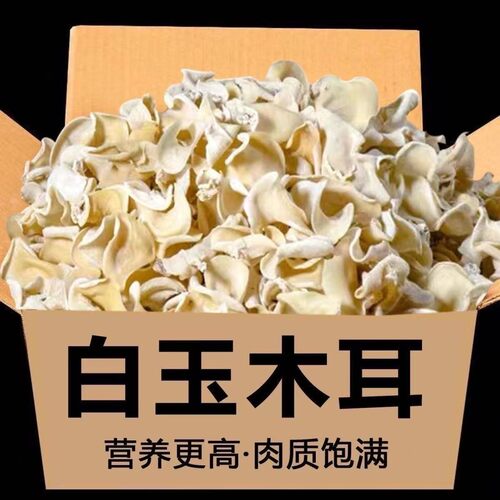 【净重500g】白玉木耳精选东北白玉木耳干货农家美食无根肉厚脆嫩