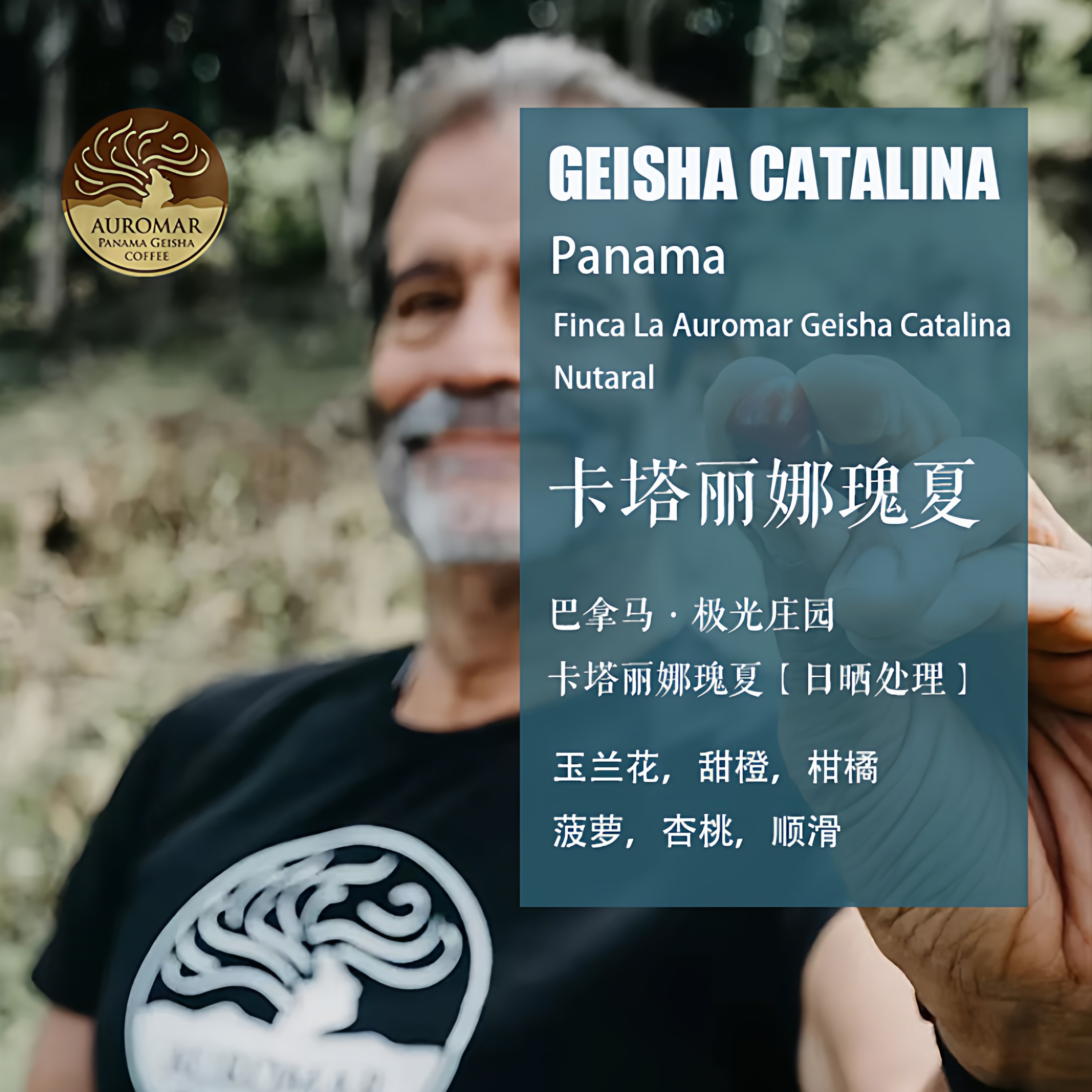 巴拿马极光庄园卡塔丽娜瑰夏Geisha咖啡豆日晒处理手冲单品咖啡豆