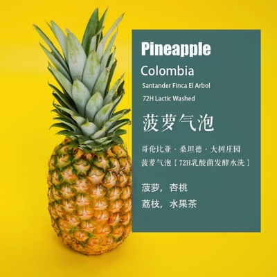 大树庄园菠萝气泡手冲单品咖啡豆