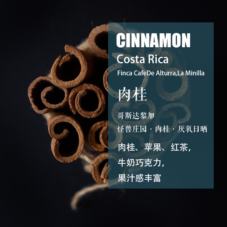 哥斯达黎加怪兽庄园肉桂Cinnamon厌氧日晒咖啡豆 手冲单品咖啡