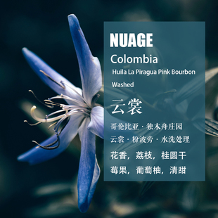 哥伦比亚独木舟庄园云裳Nuage粉波旁水洗处理咖啡豆 手冲单品咖啡
