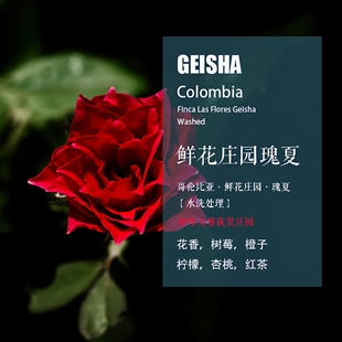 哥伦比亚鲜花庄园瑰夏Geisha咖啡豆水洗处理手冲单品新鲜下单烘焙
