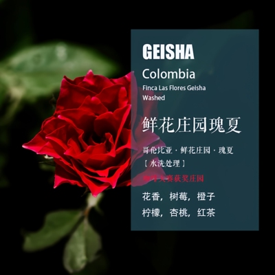 鲜花庄园瑰夏Geisha手冲单品咖啡