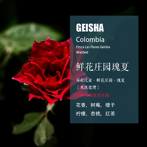 鲜花庄园瑰夏Geisha手冲单品咖啡