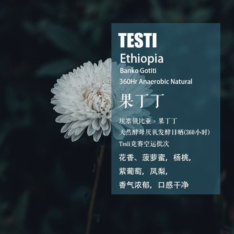 埃塞俄比亚果丁丁厌氧日晒咖啡豆