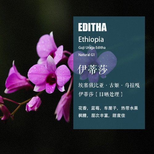 古姬乌拉嘎伊蒂莎日晒处理咖啡豆