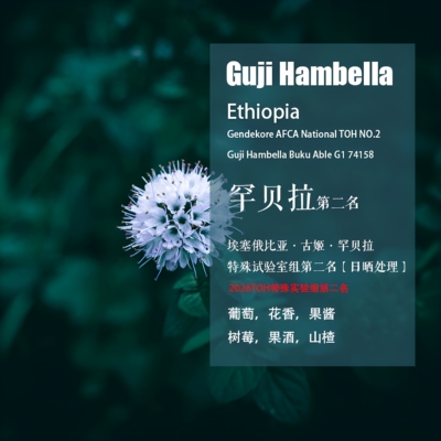 古姬罕贝拉第二名日晒处理咖啡豆