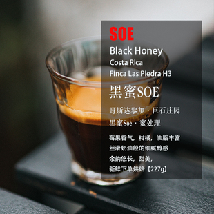 SOE 意式咖啡豆 哥斯达黎加巨石庄园黑蜜SOE 蜜处理 单一产区咖啡