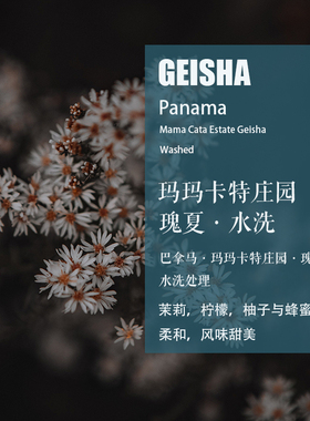 巴拿马 玛玛卡特Mama Cata庄园瑰夏Geisha水洗处理咖啡豆手冲单品