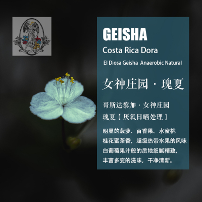 哥斯达黎加女神庄园瑰夏咖啡豆