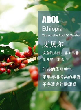 埃塞俄比亚耶加雪菲艾贝尔Abol G1水洗咖啡豆 手冲单品咖啡 新品