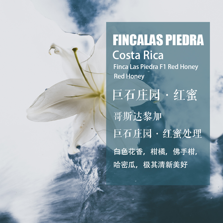 哥斯达黎加巨石庄园红蜜咖啡豆