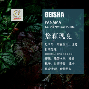 巴拿马詹森庄园 Janson瑰夏Geisha 日晒处理咖啡豆 手冲单品 袋装