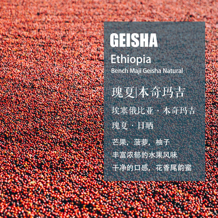 埃塞俄比亚本奇玛吉瑰夏bench maji geisha日晒咖啡豆 手冲单品