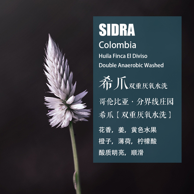分界线庄园希爪厌氧水洗咖啡豆