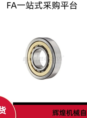 圆柱滚子轴承BBV01 02-NU204 304 205 305 206 306 207 2307EM