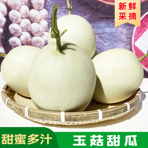 山东莘县正宗玉菇甜瓜