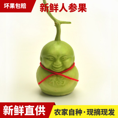 人参果福娃水果人形甜瓜