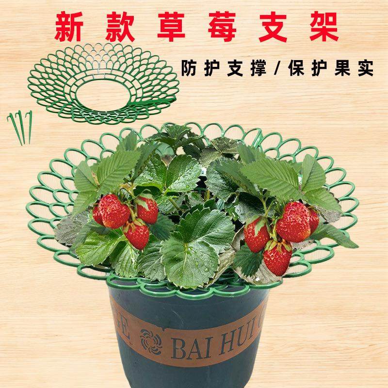 黑色草莓支架托果网架方形草莓盆栽种植架子花架家庭秧苗支撑架,鲜花速递/花卉仿真/绿植园艺,花架,淘宝优惠券,粉丝福利购,淘宝优惠卷