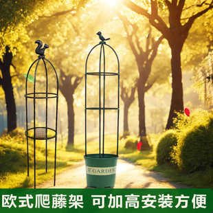 欧式月季爬藤架铁线莲球兰三角梅花蓝雪紫藤花藤花架昙花专用支架