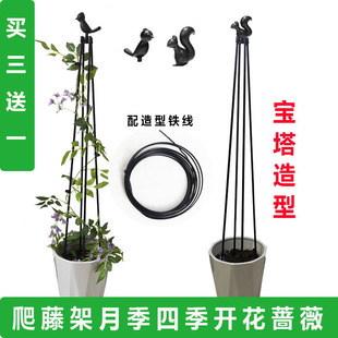 球兰龟甲龙支撑杆 三角梅爬藤架葫芦爬藤支架绿萝长藤网红阳台月季