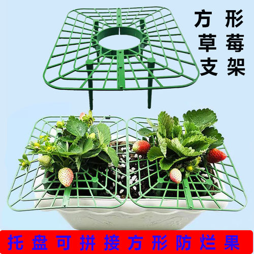 草莓托果网托果架种植架子